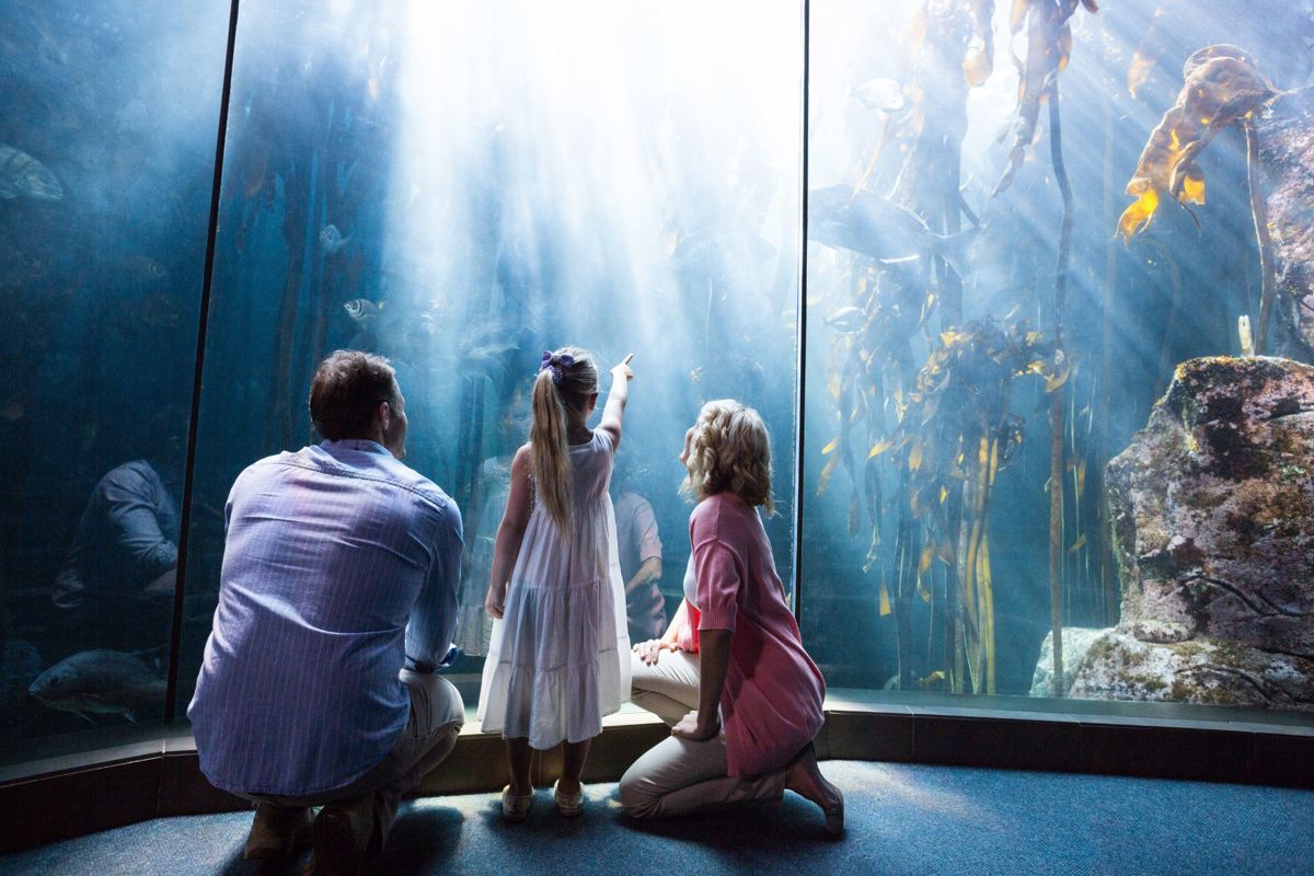 Aquarium